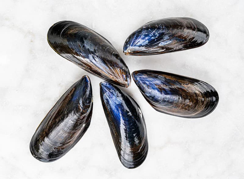 Wild-Caught Salmon Fillets (2pcs)